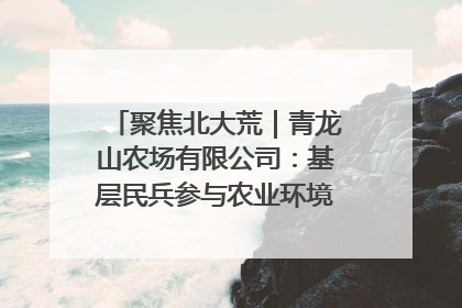 聚焦北大荒｜青龙山农场有限公司：基层民兵参与农业环境综合治理显效